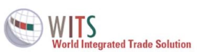 logo WITS